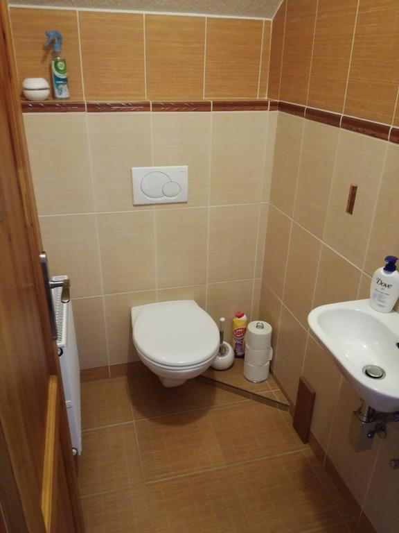 Apartman U Kovaru Kasperske Hory Bagian luar foto